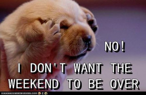 We all love for weekend break but at the same time we all hate Monday ...