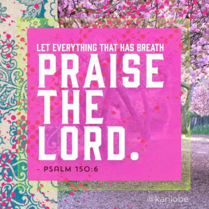 Pinned by Macy Lewis