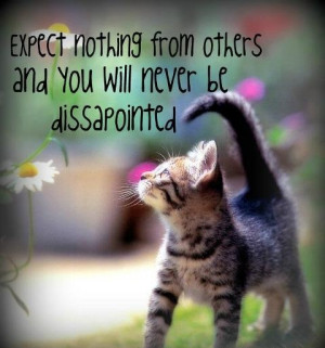 Don't expect nothing