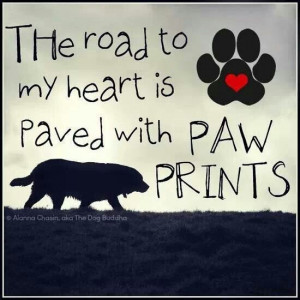 My heart is paved with paw prints