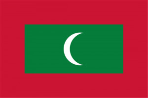 Newer Post Older Post Home