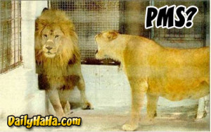 Happy Birthday Lion King...