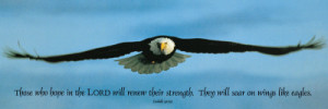 Soaring Eagles Posters – Fascinating and Inspirational