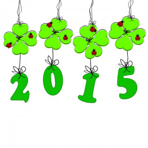 Bonne Annee-2015-voeux-bonheur-santé-fête-an-gif