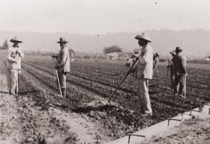 Mexican Migrant Farm Workers