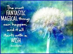 MAGIC....wish upon a star