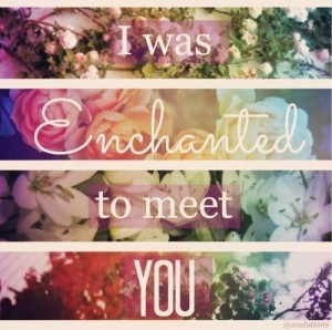 enchanted, lyrics, quote, taylor swift