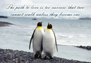 cute penguin quotes
