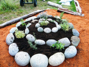 herb garden in a rock spiral