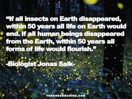 More of quotes gallery for 