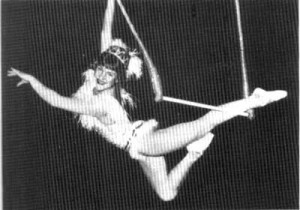 trapeze class heck yes you read that right and yes when i say trapeze ...
