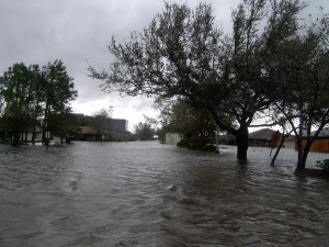 Katrina flood water Loyola Dr Kenner La.