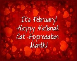 month of february - adopt a cat