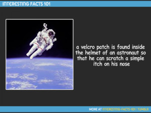 velcro patch is found inside the helmet of an astronaut so that he ...