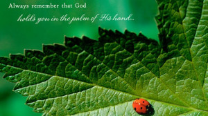 PHOTO: Hallmark greeting card reads, 