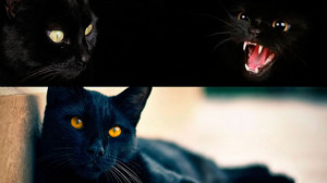 Funny Quotes Contact Dmca...