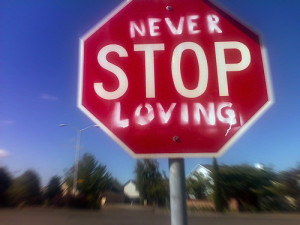 never-stop-loving.jpg#love%20%20500x375