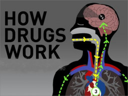 IL FENOMENO DELLE NUOVE DROGHE. Mauro Gallitelli, Michele Alzetta, MD ...