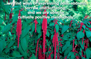 MetaFlora Level Seven: Cultivating the Spiritual Self: Transpersonal ...