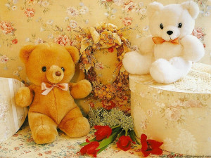 happy Teddy Day 2014- Teddy bear HD wallpapers and Quotes