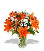 Favorite flower, tiger lily...the orange ones
