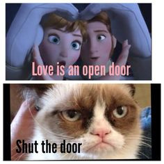 Grumpy cat meets Disney's Frozen; Love is an Open Door. Shut it hahaha ...