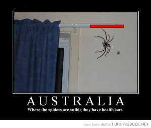 Other funny-huge-spider-australia-health-bar-pics