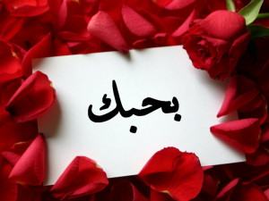love you in arabic i love you in arabic i love you in arabic