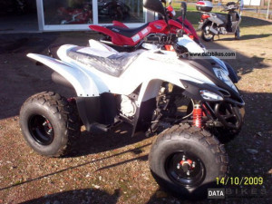 2011 Adly Hercules / ATV Luxxon 300 S Quad Motorcycle Quad photo