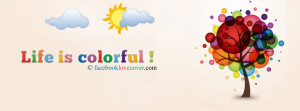 New Colorful Facebook Covers For Create Colorful Facebook Theme