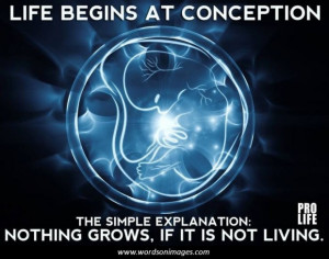 Frankenstein quotes best meaningful sayings horror