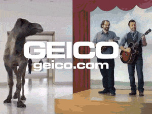 GEICO Ad Makes Happiness Gush Over on Hump Day