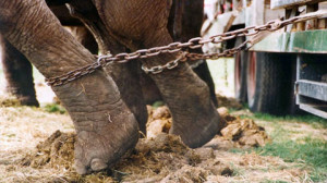 Picture Window template. Powered by Blogger .