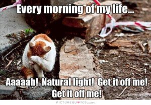 ... Aaaaah! Natural light! Get it off me! Get it off me! Picture Quote #1