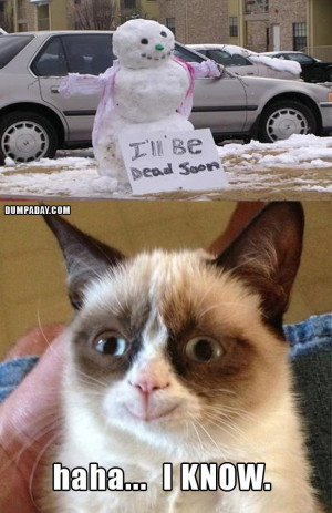 ... snow-man-melting-what-makes-grumpy-cat-happy-funny-christmas-pictures