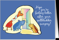 After Gallbladder Surgery Animals card - Product #418350