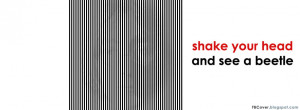 Shake your head and see a beetle - Illusion FB Cover