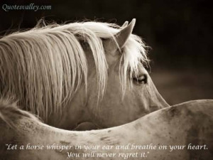 quotesvalley.comHorses Quotes & Sayings, Pictures and Images
