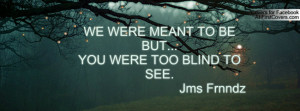 WE WERE MEANT TO BEBUT...YOU WERE TOO BLIND TO SEE. Jms Frnndz cover