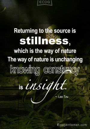 Lao Tzu quotes Returning to the source is stillness which is the