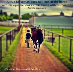 Horse Lover Quotes