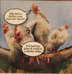This Funny Farm Calendar is a very unique Calendar. There are (11 ...