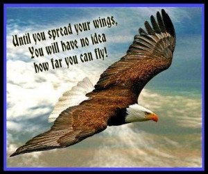 Until You Spread Your Wings