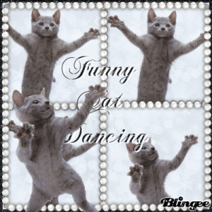 Funny Cat Dancing***