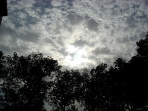 Rumi Quotes Dance (rumi ra)