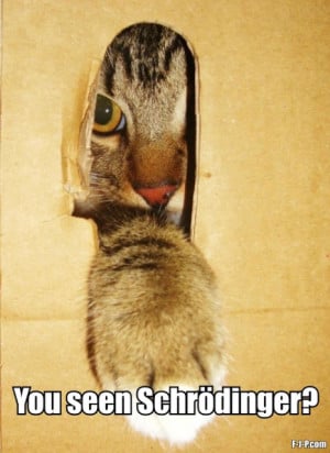 Funny Angry Schrödinger's Cat Joke Picture Photo Image | You seen ...