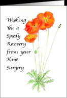 Orange Poppies Recovery from Knee Surgery Card - Product #645286