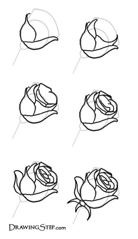 简单的玫瑰花怎么画