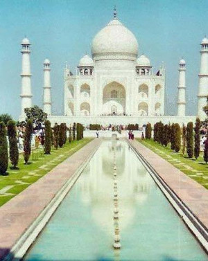 Funny Quotes Contact Us DMCA Notice