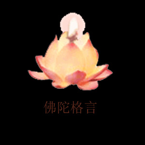 Buddha Quotes(Chinese) Free